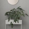 ferm LIVING - ferm LIVING - Récipient pour plantes