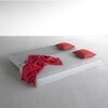 Softline - Lubi Schlafsofa / Day Bed - grau/Keder schwarz/Stoff Filz 620/mit Federkernmatratze/inkl. Nackenrolle
