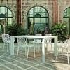 Fast - Forest - 2 chaises de jardin coussins incl.