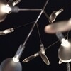 Moooi - Heracleum - Lüster / Pendellamp