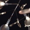Moooi - Heracleum - Lustre / Suspension