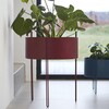 Woud - Pidestall - Bloempot