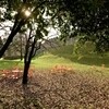 Moroso - Supernatural Stuhl mit Löcher