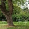B-Line - Park Chair