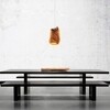 Zeus - Tommaso Bench