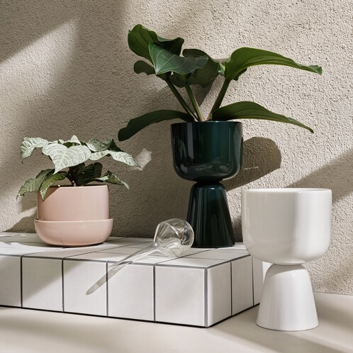 iittala Nappula Blumentopf 320x190mm