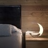 Luceplan - Curl LED Table Lamp 