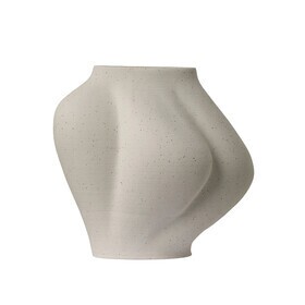 AYTM - Saltare vaas S