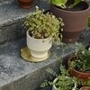 Skagerak - Edge Brass Plate / Saucer