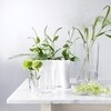 iittala - Alvar Aalto - Vase de 160mm