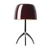 Foscarini - Lumiere Piccola - Reservescherm