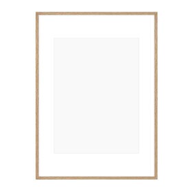 Collection - Poster fotolijst 70x100cm