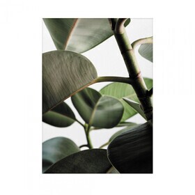 Paper Collective - Green Home 03 Art Print