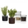iittala - Kastehelmi Jar 5.7 cm