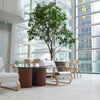 Artek - Artek 66 - Chaise 