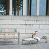 Jan Kurtz - Luxury Sun Lounger