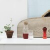 Muuto - Corky - Carafe