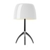 Foscarini - Lumiere Piccola - Reservescherm