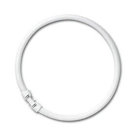 Flos - Button Light Bulb 2GX13 22W
