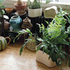 Artek - Artek Riihitie Plant Pot Form B