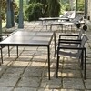 Knoll International - 1966 Richard Schultz - Chaise avec accoudoirs
