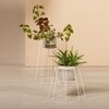 OK Design - Cibele - Bloempot