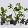 HAY - HAY - Set de 2 pots de fleurs