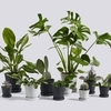 HAY - HAY Blumentopf mit Untersetzer 2er Set