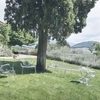 Kartell - Uncle Jack Couch