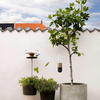 Eva Solo - Eva Solo Bird Table