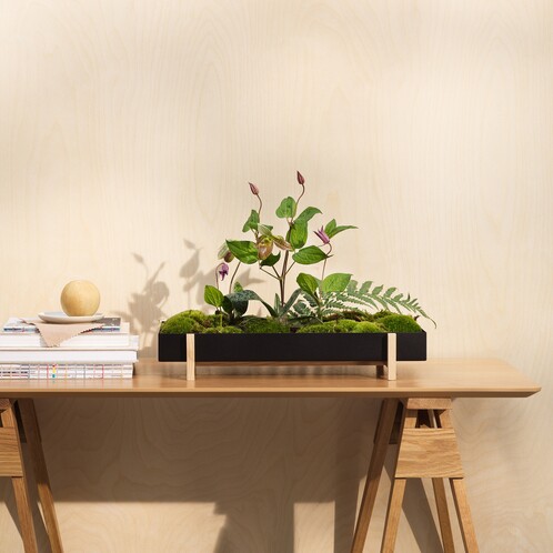 für Tablett Pflanzen Stockholm | House AmbienteDirect Botanic Design