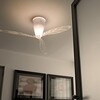 Luceplan - Blow - Ventilateur et Plafonnier