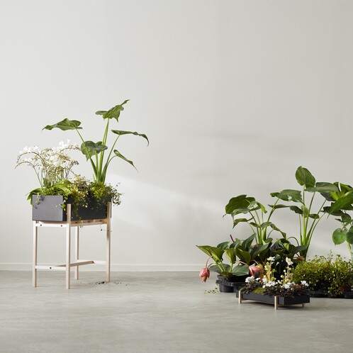 | House Stockholm Botanic AmbienteDirect Design Pflanzen Tablett für