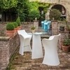 B-Line - Woopy Bar Stool