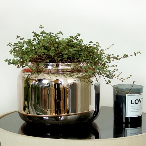 pulpo - Container Low Vase