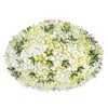 Kartell - Bloom Ball C1 - Applique murale - menthe