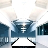 Luceplan - Titania - Suspension