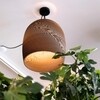 graypants - Bell - Suspension 