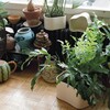 Artek - Artek Riihitie Plant Pot Form A