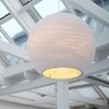 graypants - Sun - Suspension 