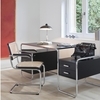 Thonet - Aktionsset Thonet S 64 Freischwinger + Fell
