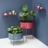 Woud - Pidestall - Bloempot