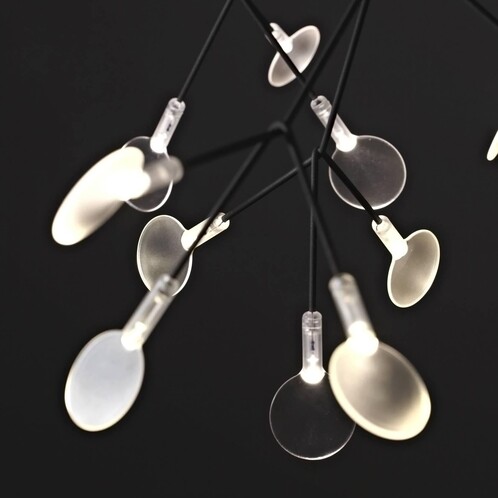 Moooi - Heracleum Small - Lustre / Suspension