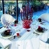 Driade - Tenochtitlan - Chandelier