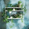 String - String Pocket Shelf