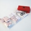 Radius - Professional First Aid Box - red/silver/LxWxH 25.5x14x9cm