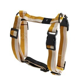HAY - Harnais pour chien M
