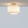Serien - Reef Ceiling - Plafonnier