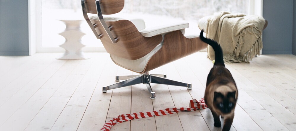 Vitra Eames Lounge Chair mit Katze
