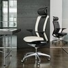 Wagner - Titan Limited Office Chair